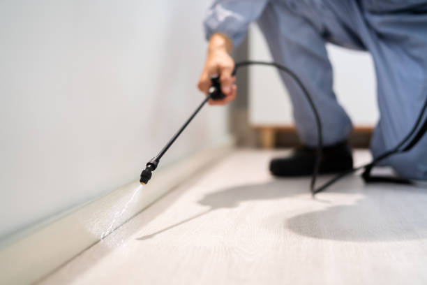 Licensed Pest Control service in Roseto, PA - Show Me Pest Control