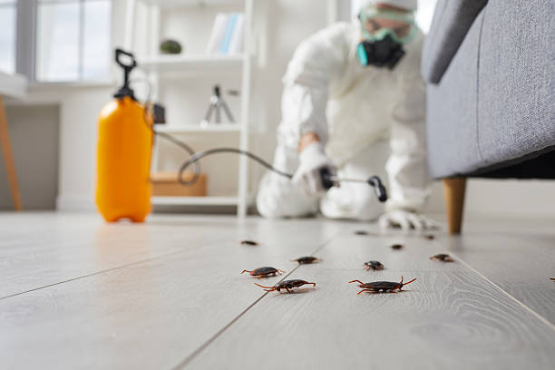 Post-Treatment Bed Bug Interceptor Monitoring in Roseto