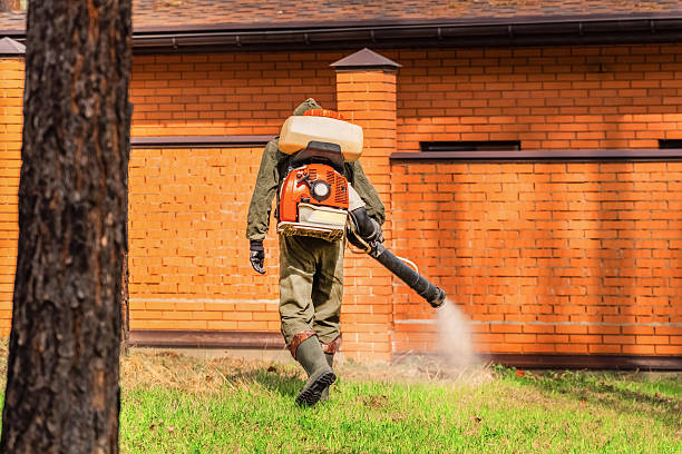 Bed Bug Clearance Verification and Documentation in Roseto
